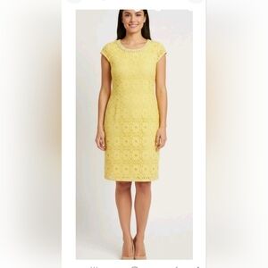 Sandra Darren Sz 16 Yellow Lace Sheath Dress At Kneeegant Yellow Lace Dress